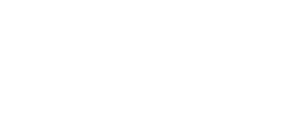 Teizo Soft Logo